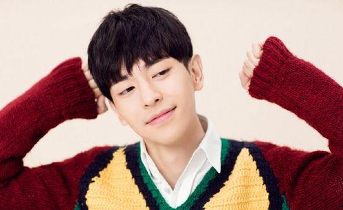 爱豆吃瓜娱乐酱汪东城,爱豆吃瓜娱乐酱，揭秘娱乐圈幕后故事