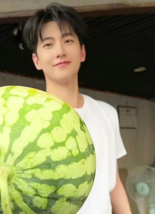 吃瓜娱乐圈图画