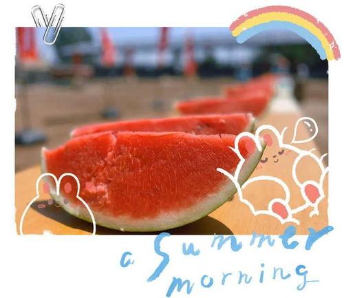 吃瓜现场是什么意思,网络热议背后的真相与反思