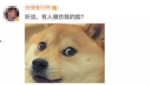 微信表情吃瓜图片什么意思