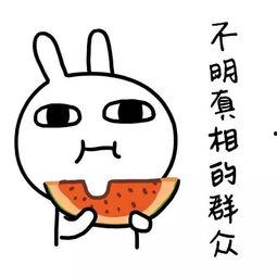 娱乐吃瓜酱温州话,揭秘娱乐圈那些事儿