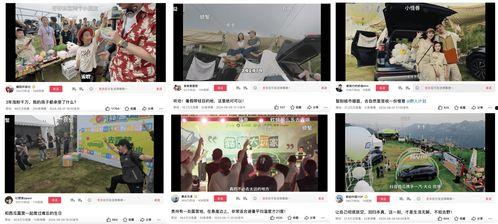 娱乐吃瓜视频剪映,揭秘娱乐圈幕后吃瓜大揭秘！