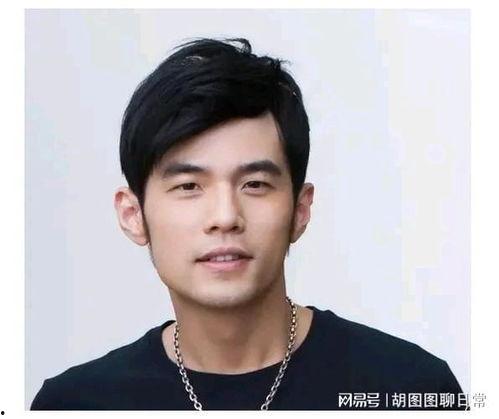 娱乐圈吃瓜男歌手名单,揭秘那些被隐藏的八卦故事